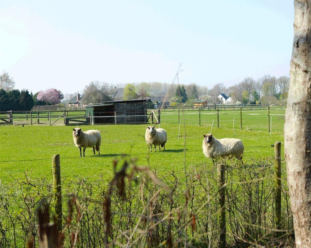 Buitengoed De Panoven Zevenaar Exteriör bild